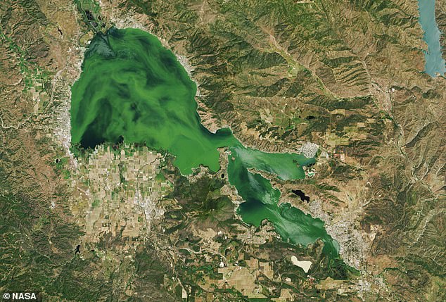 Incredible photos show North America's oldest lake turned bright GREEN - sparking health concerns